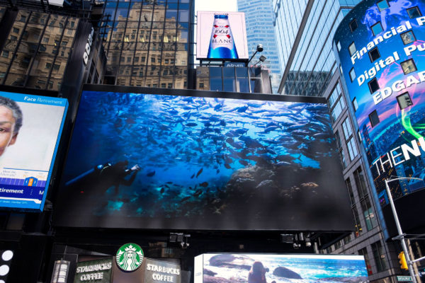 790.New-York