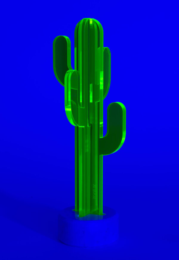 Cactus-giallo